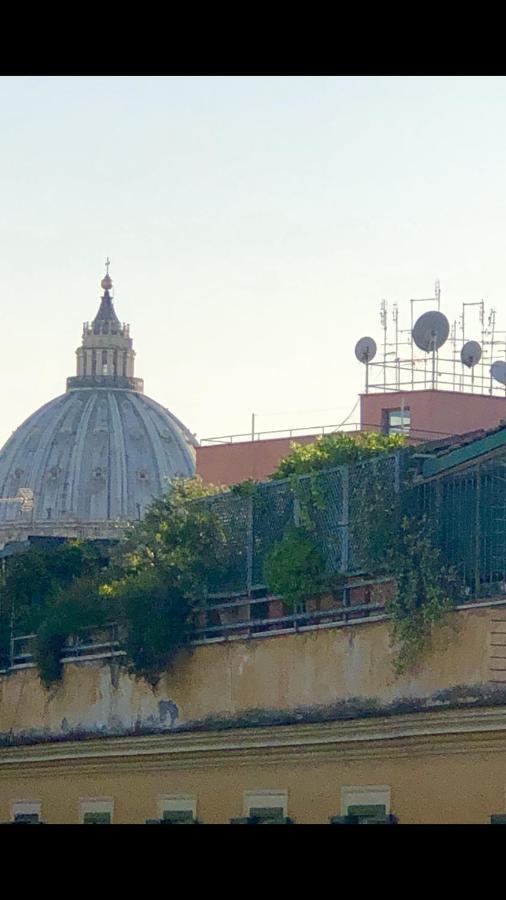 Appartamento La Piccola Terrazza In Vaticano *
